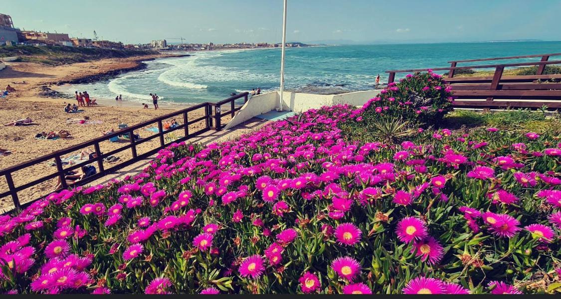 شقة La Mata, تورّيفيِخا المظهر الخارجي الصورة
